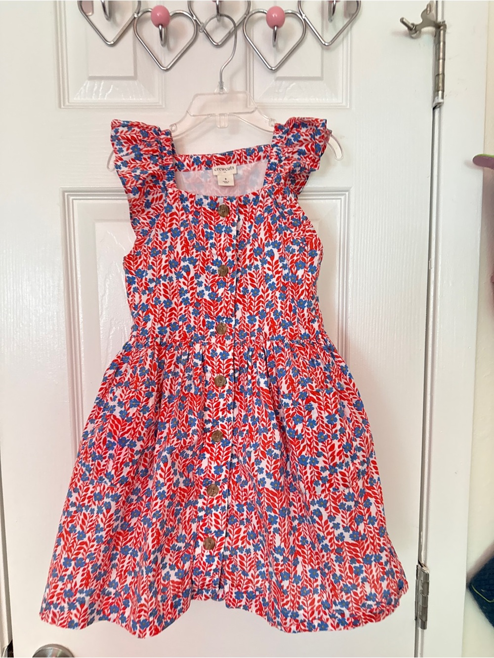 Crewcuts Red & Blue Floral Frock